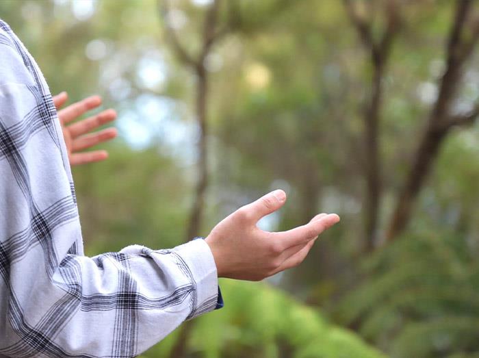 [뉴질랜드] 명상숲 페스티벌 명상여행 7일 (항공불포함)