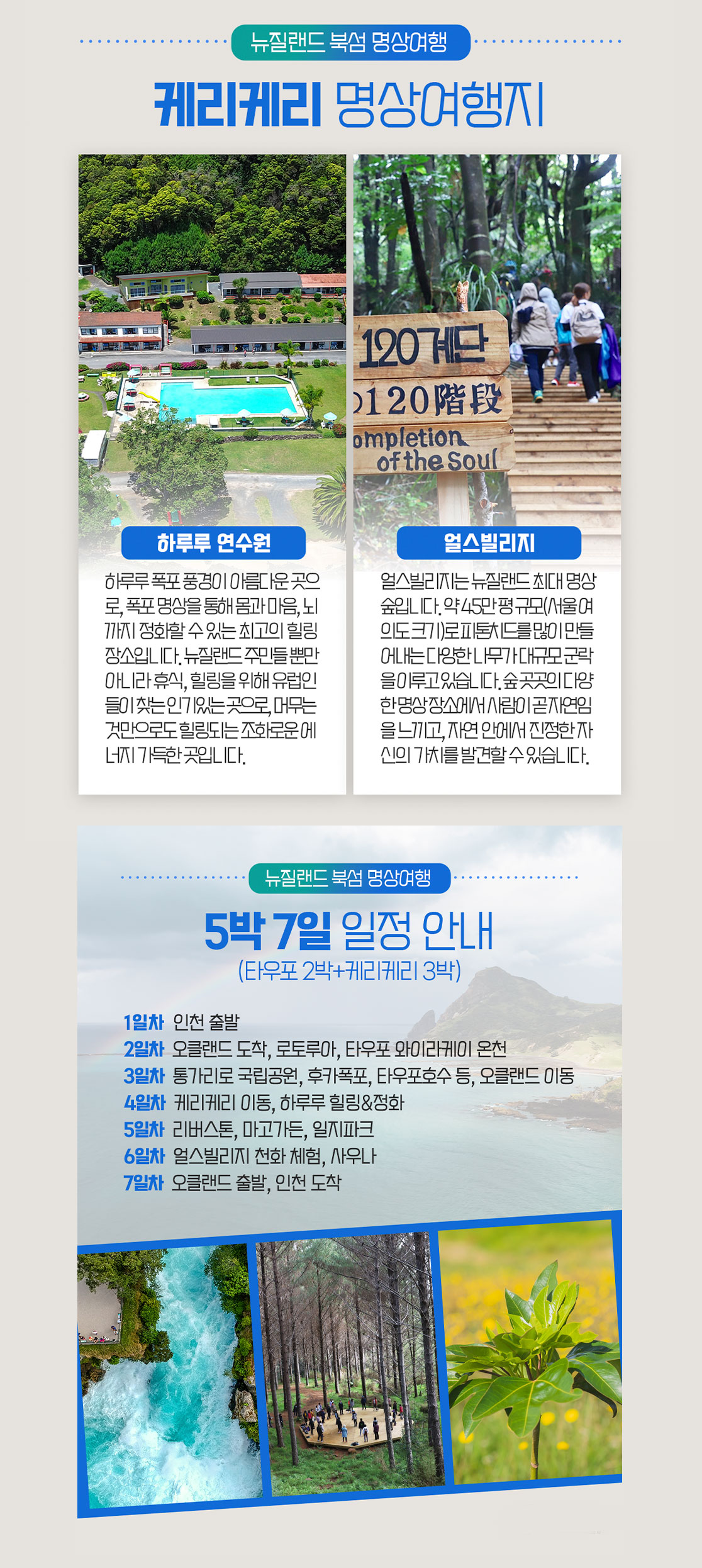 NZ타우포2.jpg